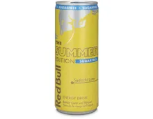 Red Bull Summer Edition Sugarfree