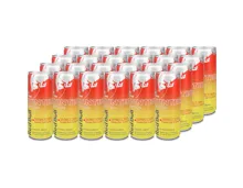 Red Bull Winter Edition 2025 24x 25cl