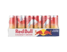 Red Bull Winter Edition 2025 24x25cl