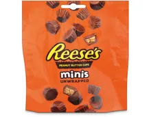 Reese's Erdnussbutter Cup Minis