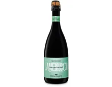 Reggiano Lambrusco DOP Quercioli secco – Schaumwein, Italien (0.75l)