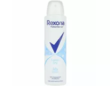 Rexon Deo Spray Cotton Dry