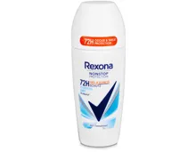 Rexona Nonstop Protection Deo Roll-On Cotton Dry 50 ml