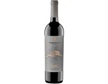 Ribera del Duero DO Reserva Dominio Fournier (2019) – Rotwein, Spanien (0.75l)