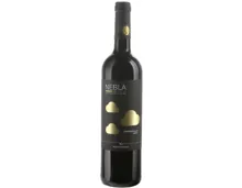 Ribera del Duero DO Tempranillo Roble Nebla Vicente Gandia (2023) – Rotwein, Spanien (0.75l)