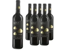 Ribera del Duero DO Tempranillo Roble Nebla Vicente Gandia 6x 75cl (2023) – Rotwein, Spanien (0.75l)