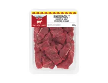 Rindsragout XXL