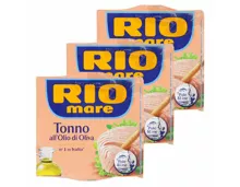 Rio mare Thon in Olivenöl 3x 104g