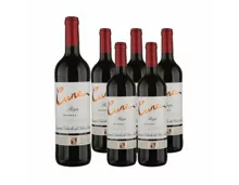 Rioja DOCa Crianza Cune 6x 75cl