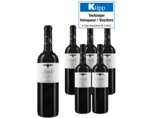 Rioja DOCa Reserva Bodegas Ondarre 6x 75cl (2019) – Rotwein, Spanien (0.75l)