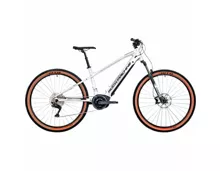 Rockmachine E-Mountainbike Torrent INT e70-29 B L