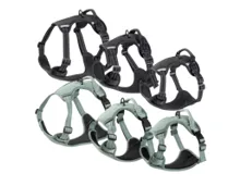 ROMEO Herbst Hundegeschirr