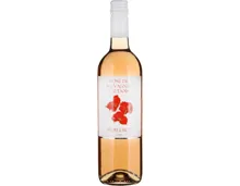 Rosé de Salvagnin Vaudois Perleroy (2024) – Roséwein, Schweiz (0.75l)
