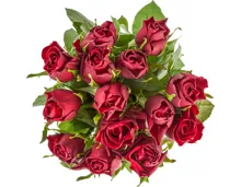 Rosen