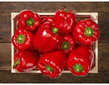Rote Peperoni XXL