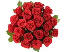 Rote Premium-Rosen