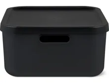 Rotho Albula Aufbewahrungsbox