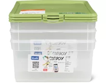 Rotho Clearbox im 3er-Pack