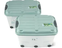 Rotho Roller 6