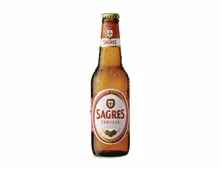 Sagres Bier 24er-Pack