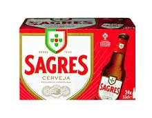 Sagres Bier 24x33cl