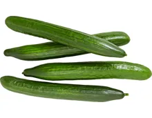 Salatgurke