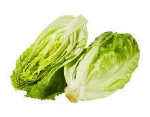 Salatherzen Little Gem