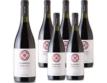 Salento IGP Flaminio Primitivo Rosso Vallone 6x 75cl (2024) – Rotwein, Italien (0.75l)