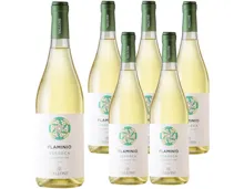Salento IGP Flaminio Verdeca Blanc Vallone 6x 75cl (2024) – Weisswein, Italien (0.75l)