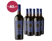 Salento IGP Primitivo Sassi d'Oro 6x75cl
