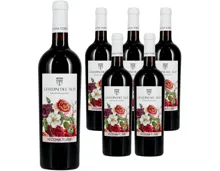 Salento IGP Rosso Giardini del Sud Vecchia Torre 6x 75cl (2021) – Rotwein, Italien (0.75l)