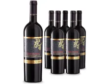 Salice Salentino DOC Riserva Vecchia Torre 6x 75cl (2017) – Rotwein, Italien (0.75l)