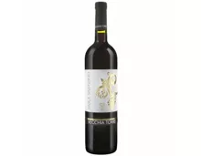 Salice Salentino DOP Rosso Vecchia Torre