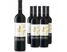 Salice Salentino DOP Rosso Vecchia Torre 6x 75cl