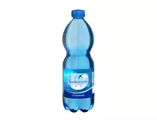 San Benedetto Mineralwasser