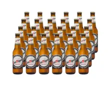 San Miguel Bier 24 x 33 cl
