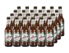 San Miguel Bier​