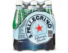 San Pellegrino Mineralwasser mit Kohlensäure 6x50cl