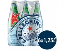 San Pellegrino mit Kohlensäure 6x1.25l