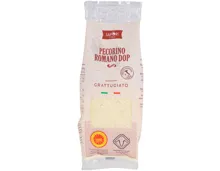 Sapori Pecorino Romano DOP gerieben