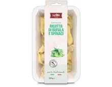 Sapori Tortelloni Ricotta & Spinat