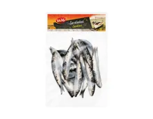 Sardinen