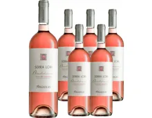 Sardinien IGT Argiolas Serra Lori Rosé 6x 75cl (2025) – Roséwein, Italien (0.75l)