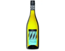 Sauvignon Blanc Marlborough New Zealand Paddle Creek (2024) – Weisswein, Neuseeland (0.75l)