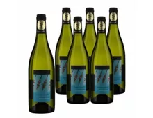 Sauvignon Blanc Marlborough New Zealand Paddle Creek 6x 75cl