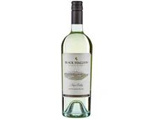 Sauvignon Blanc Napa Valley California Black Stallion (2022) – Weisswein, USA (0.75l)