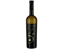Sauvignon Blanc Slavonija Galić (2024) – Weisswein, Kroatien (0.75l)