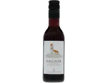 Schaffhausen AOC Hallauer Blauburgunder Weinkeller zum Stauffacher (2024) – Rotwein, Schweiz