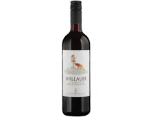 Schaffhausen AOC Hallauer Blauburgunder Weinkeller zum Stauffacher (2024) – Rotwein, Schweiz (0.75l)