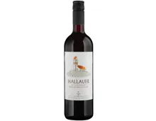 Schaffhausen AOC Hallauer Blauburgunder Weinkeller zum Stauffacher (2025) – Rotwein, Schweiz (0.75l)